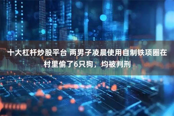 十大杠杆炒股平台 两男子凌晨使用自制铁项圈在村里偷了6只狗,均被判刑