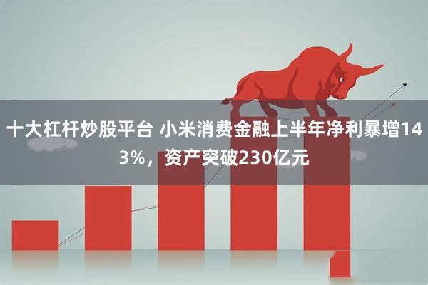 十大杠杆炒股平台 小米消费金融上半年净利暴增143%,资产突破230亿元