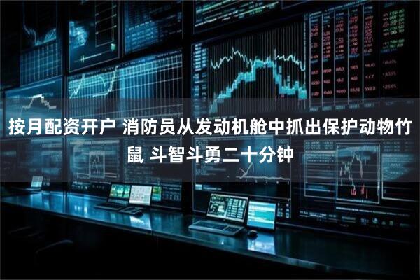 按月配资开户 消防员从发动机舱中抓出保护动物竹鼠 斗智斗勇二十分钟